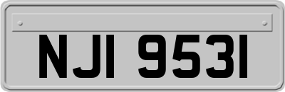 NJI9531