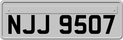 NJJ9507