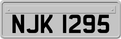 NJK1295