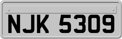 NJK5309