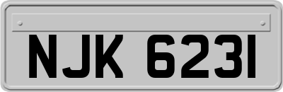 NJK6231