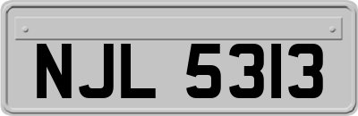 NJL5313
