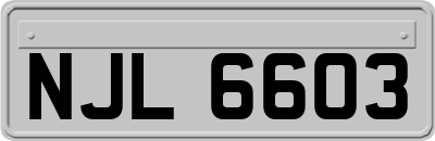 NJL6603