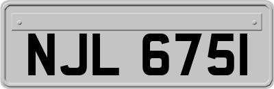 NJL6751