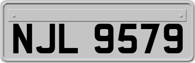 NJL9579