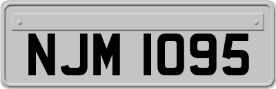 NJM1095