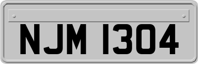 NJM1304