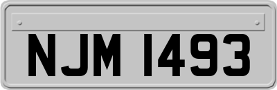 NJM1493