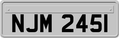 NJM2451
