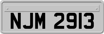 NJM2913