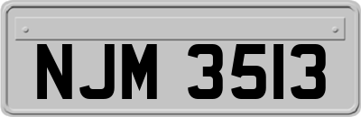 NJM3513