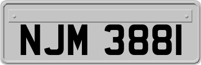 NJM3881