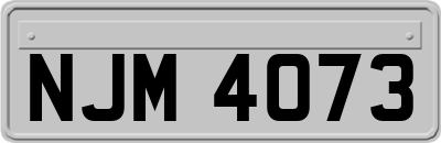 NJM4073