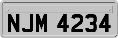NJM4234