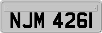 NJM4261