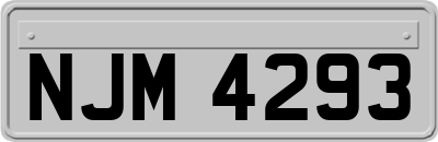 NJM4293