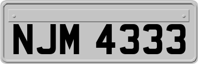 NJM4333