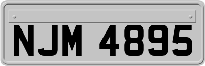 NJM4895