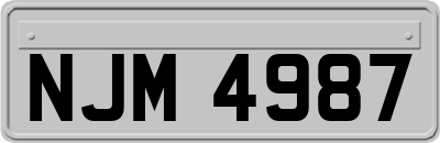 NJM4987