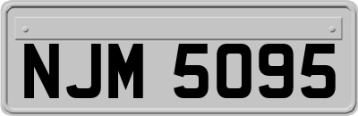 NJM5095