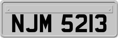 NJM5213
