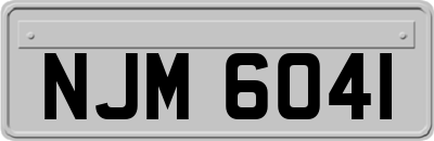 NJM6041