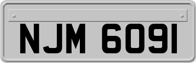 NJM6091