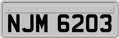 NJM6203