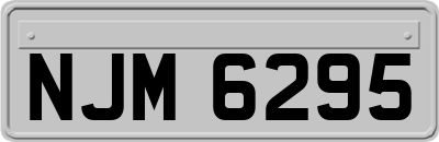 NJM6295