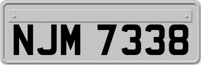 NJM7338