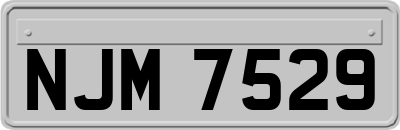 NJM7529