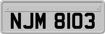 NJM8103