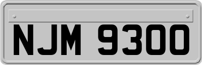 NJM9300