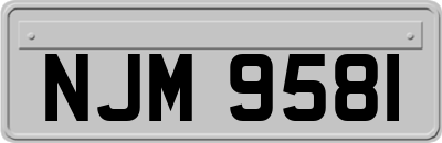 NJM9581
