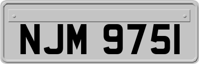 NJM9751