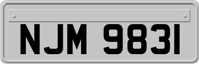 NJM9831