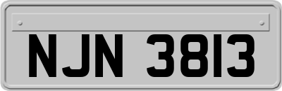 NJN3813