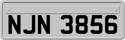 NJN3856
