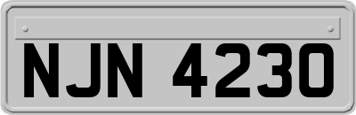 NJN4230