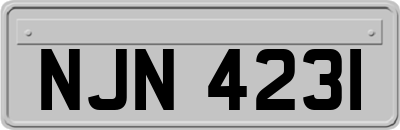 NJN4231
