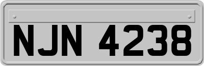 NJN4238