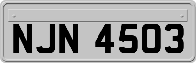 NJN4503