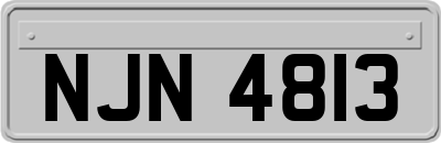 NJN4813