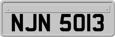 NJN5013