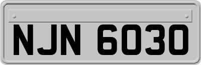 NJN6030