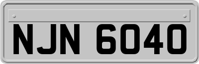 NJN6040