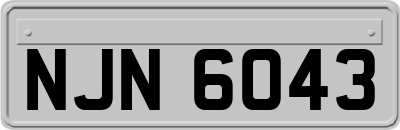 NJN6043