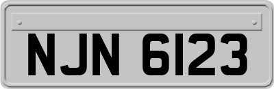 NJN6123