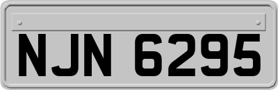 NJN6295
