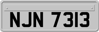 NJN7313